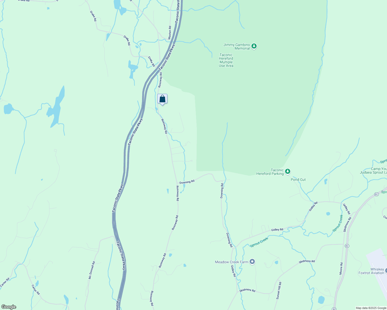 map of restaurants, bars, coffee shops, grocery stores, and more near 419 Rossway Road in Pleasant Valley