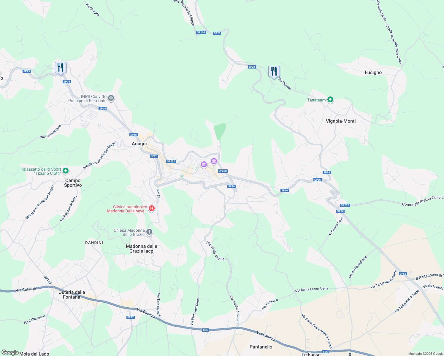 map of restaurants, bars, coffee shops, grocery stores, and more near Strada Provinciale 230 in Anagni