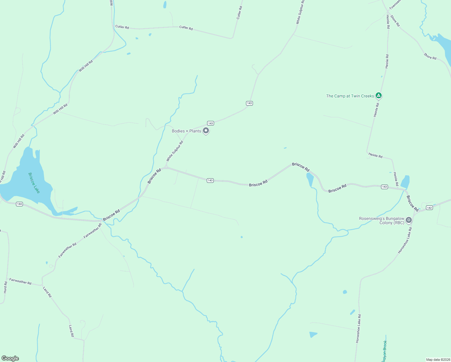 map of restaurants, bars, coffee shops, grocery stores, and more near Briscoe Road in Swan Lake