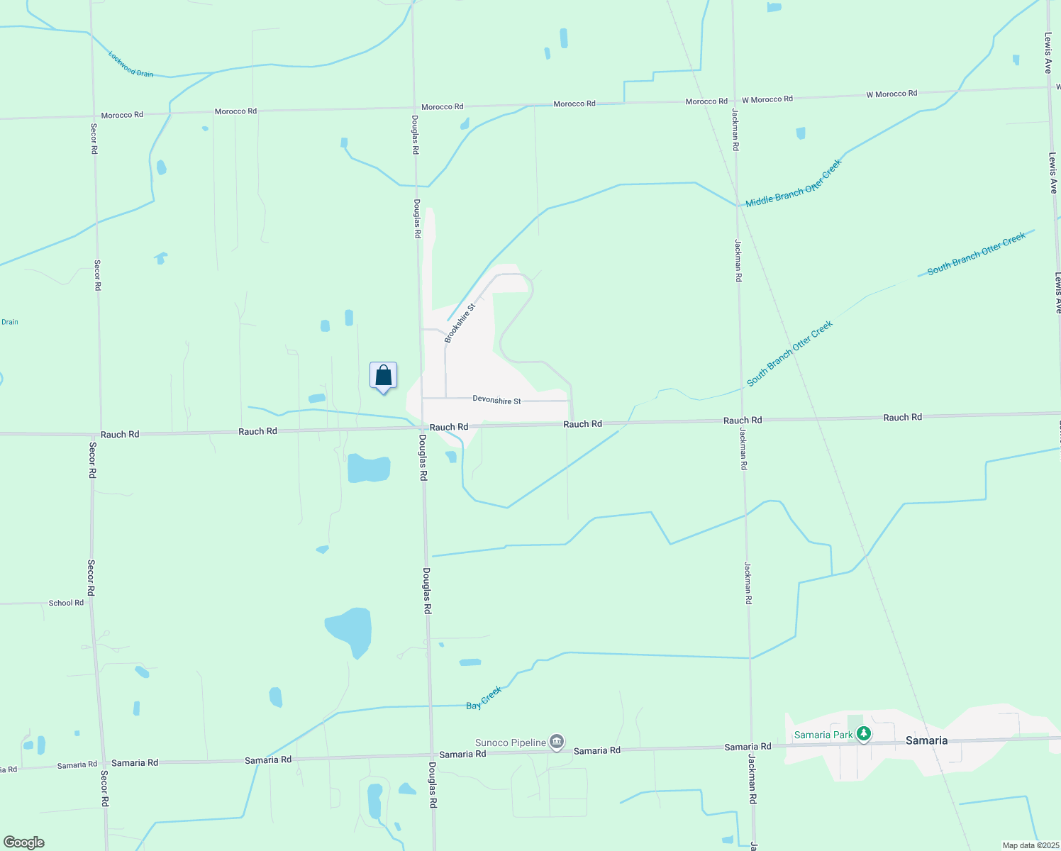 map of restaurants, bars, coffee shops, grocery stores, and more near 2221 Rauch Road in Temperance