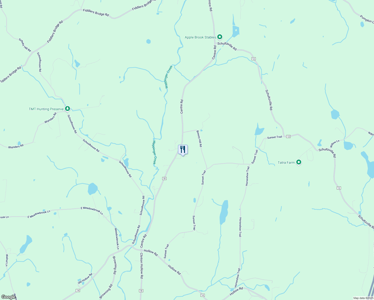 map of restaurants, bars, coffee shops, grocery stores, and more near 828 Centre Road in Staatsburg
