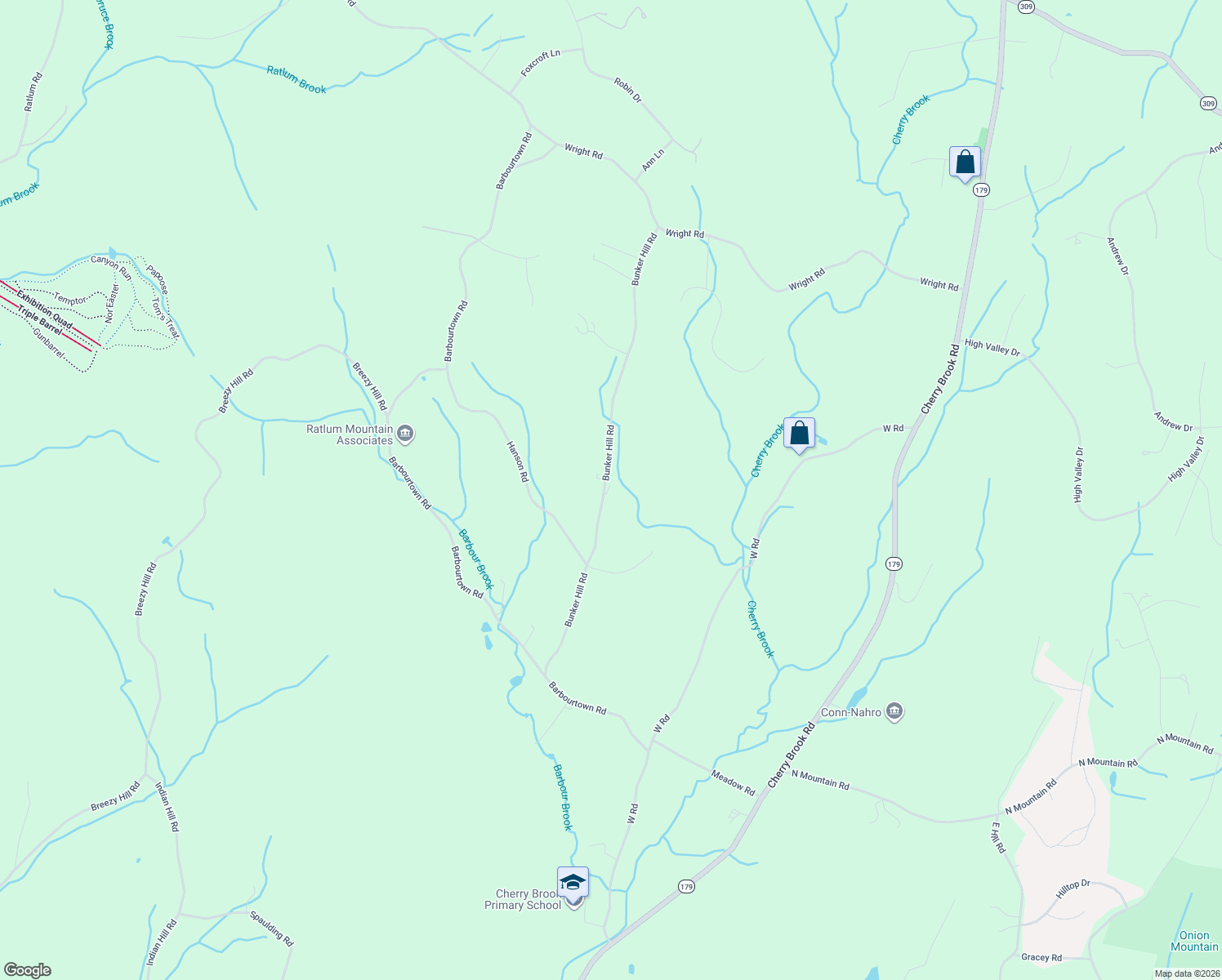 map of restaurants, bars, coffee shops, grocery stores, and more near 62 Bunker Hill Road in Canton