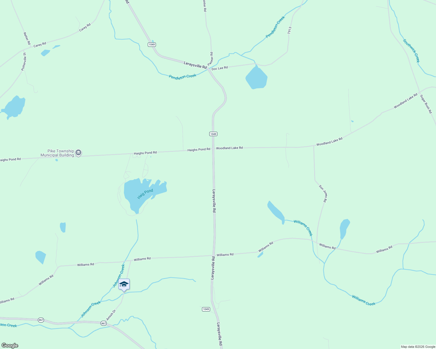 map of restaurants, bars, coffee shops, grocery stores, and more near 2234 Leraysville Road in Le Raysville