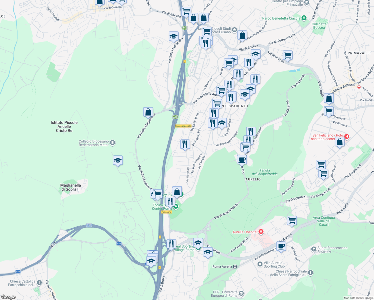 map of restaurants, bars, coffee shops, grocery stores, and more near 241 Via Enrico Bondi in Roma