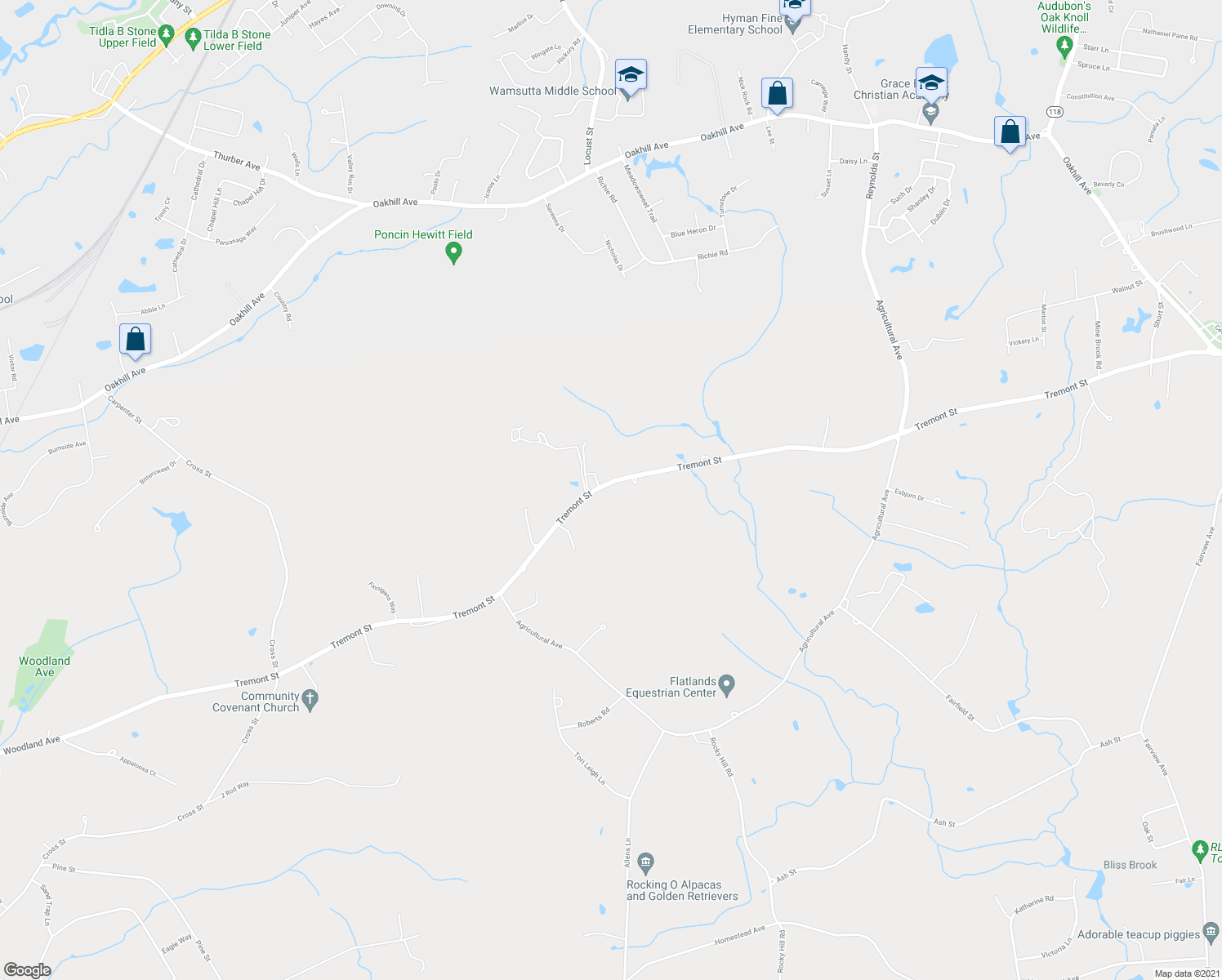 map of restaurants, bars, coffee shops, grocery stores, and more near 509 Tremont St in Rehoboth