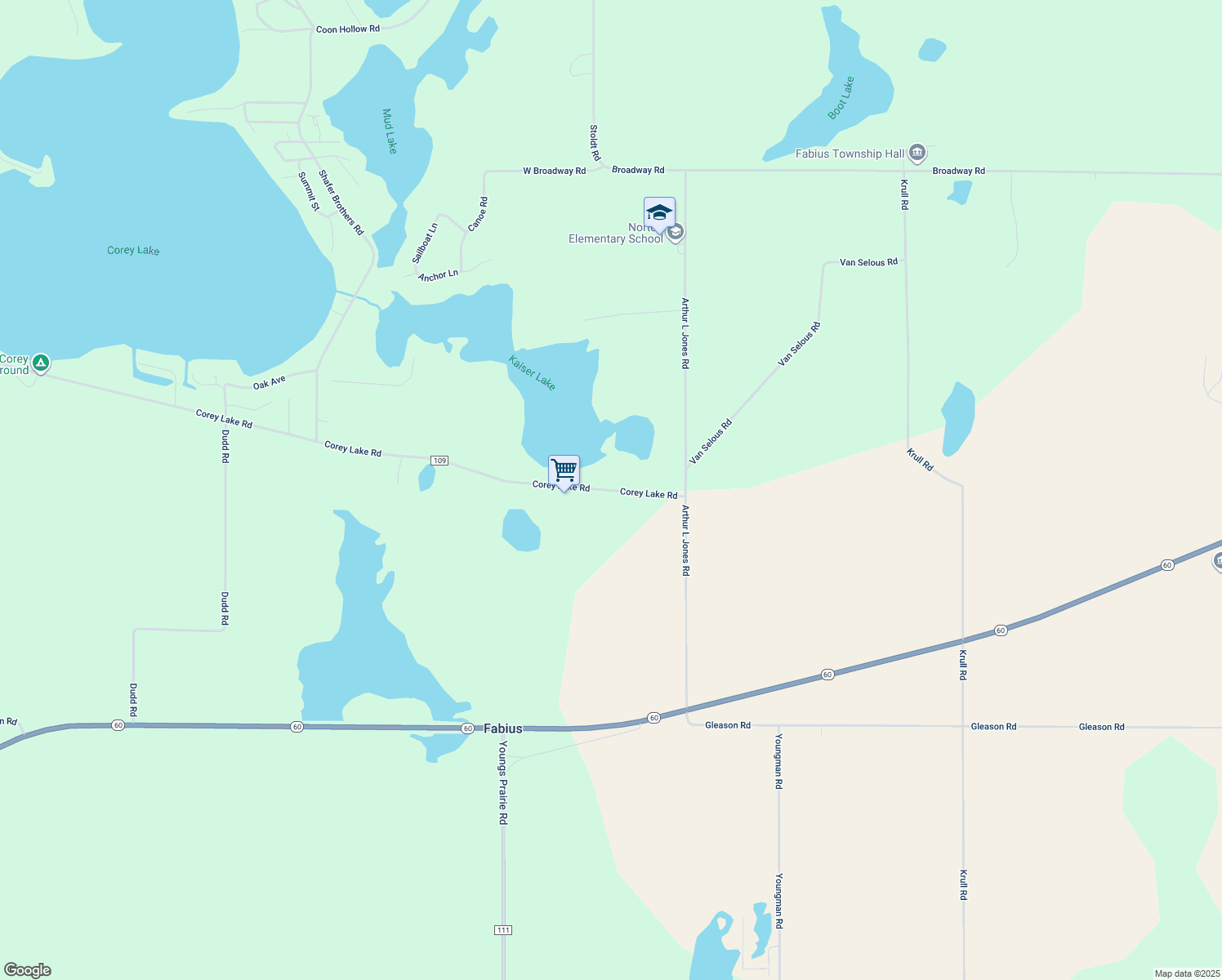 12358 Corey Lake Road, Three Rivers MI Walk Score