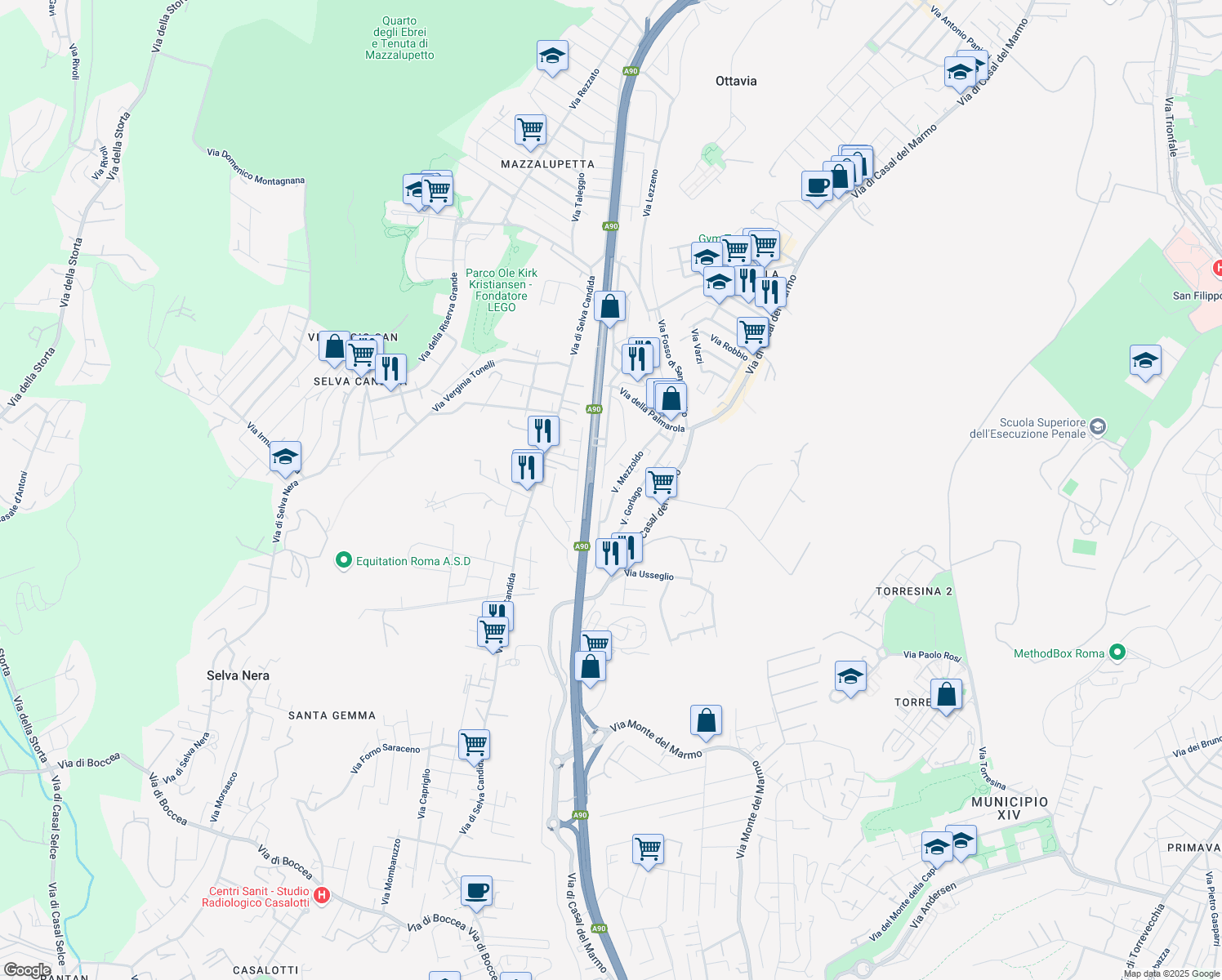 map of restaurants, bars, coffee shops, grocery stores, and more near 118 Via Mezzoldo in Rome