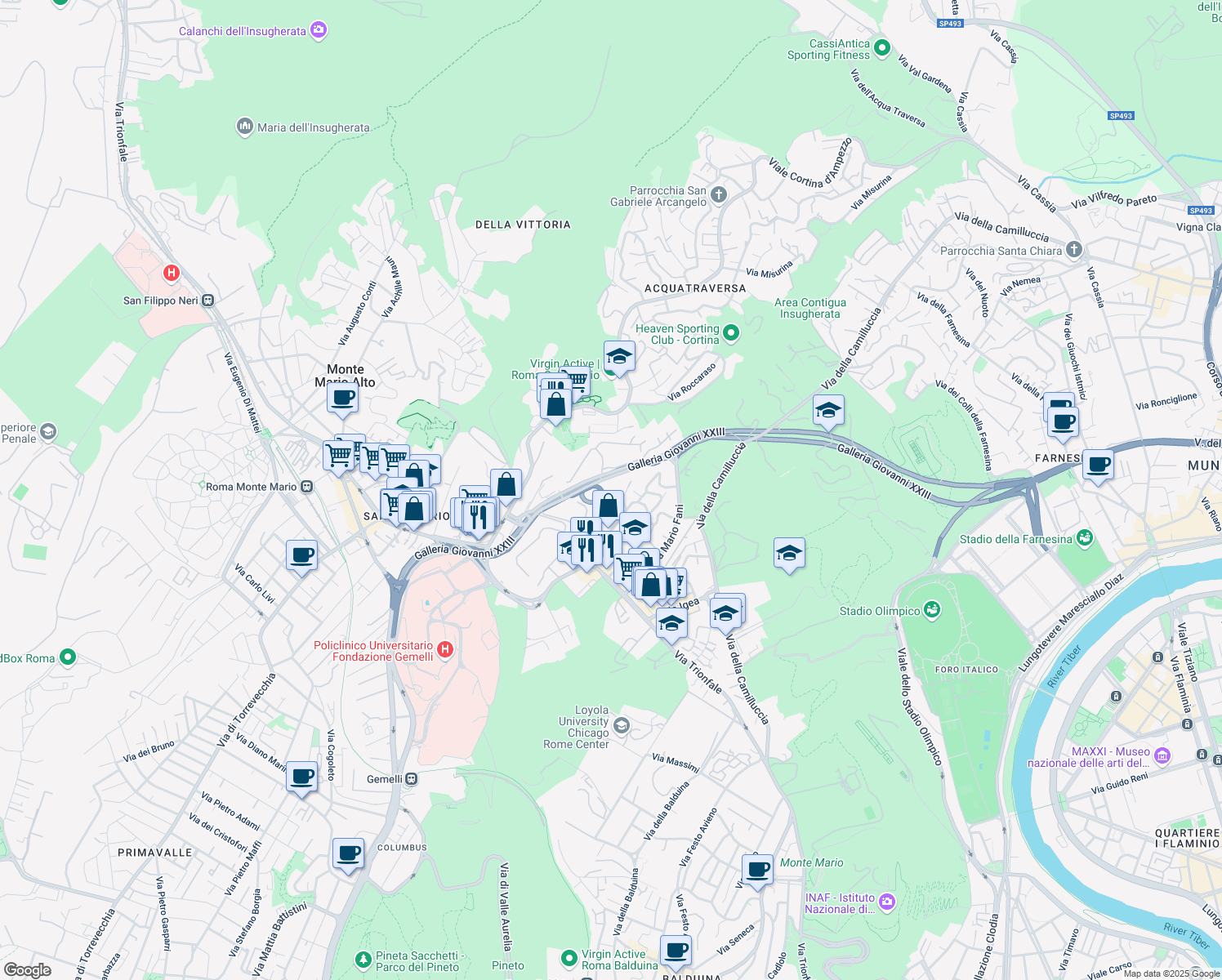 map of restaurants, bars, coffee shops, grocery stores, and more near 13 Via Menaggio in Roma