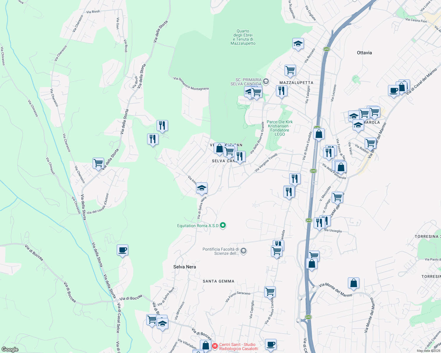 map of restaurants, bars, coffee shops, grocery stores, and more near 323 Via di Selva Nera in Roma