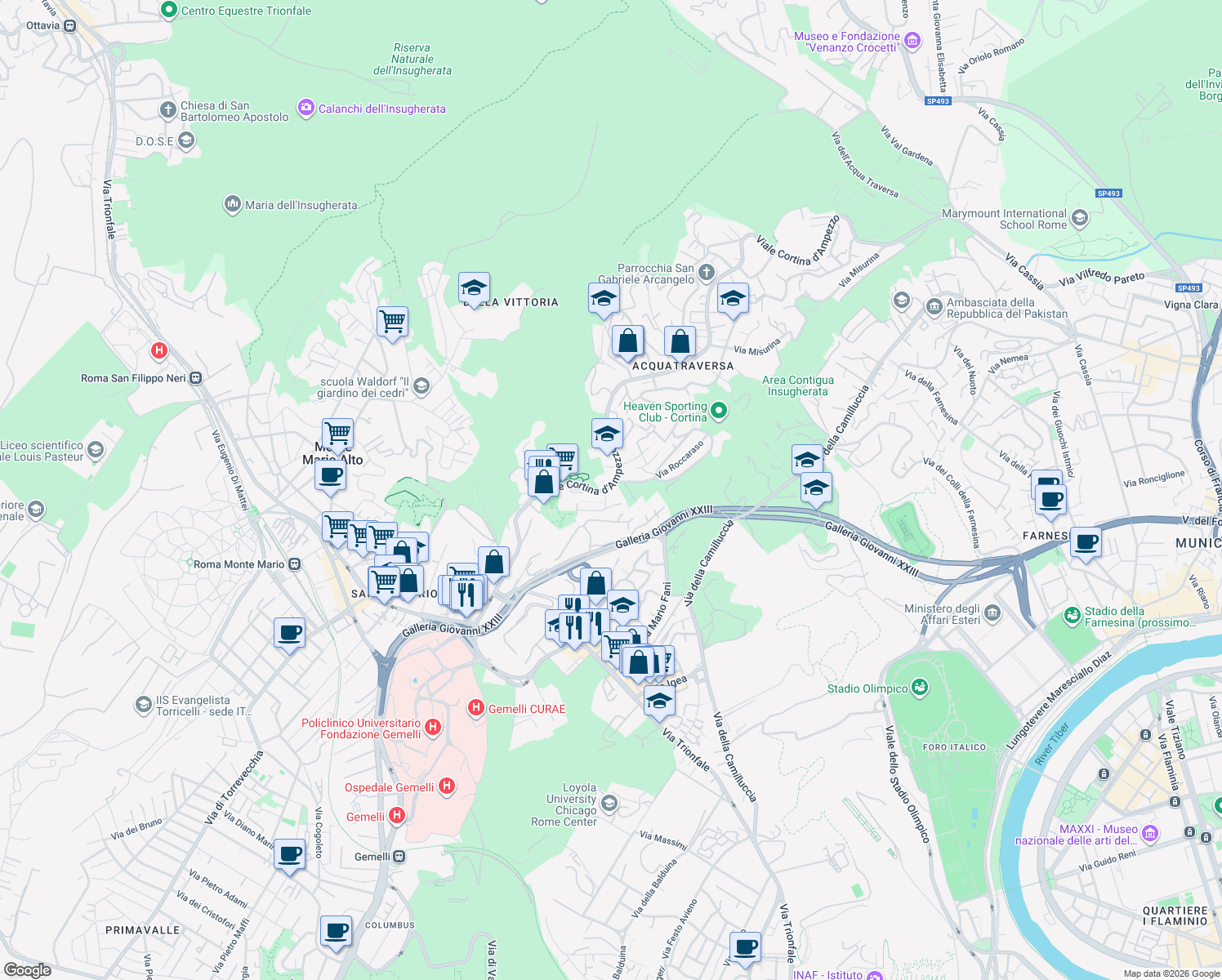 map of restaurants, bars, coffee shops, grocery stores, and more near 8 Via Saint Vincent in Rome