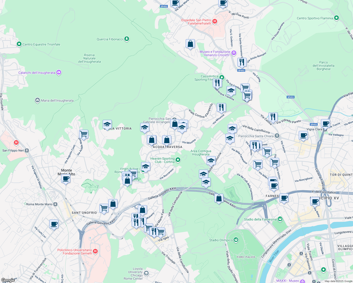 map of restaurants, bars, coffee shops, grocery stores, and more near 4 Via Misurina in Roma