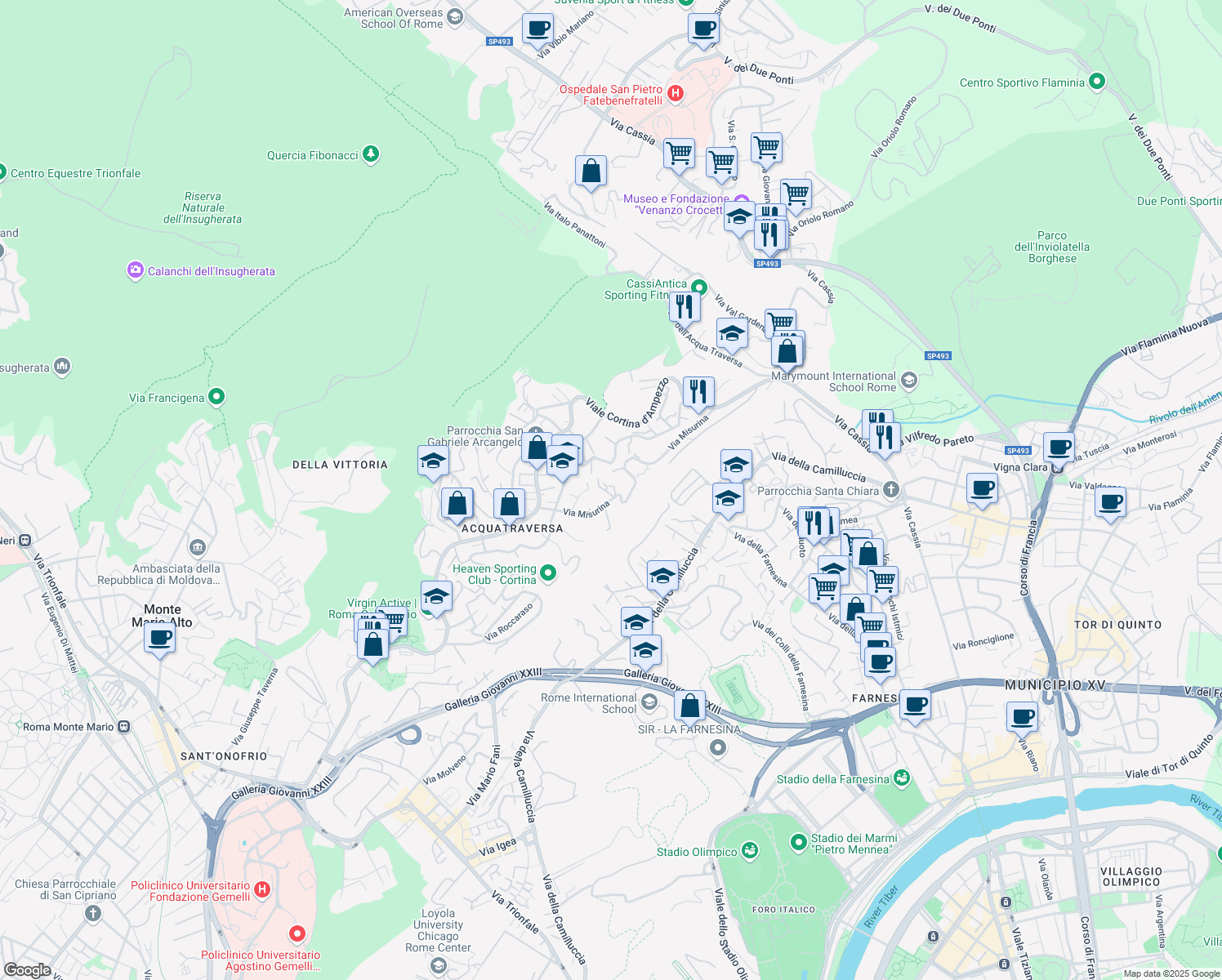 map of restaurants, bars, coffee shops, grocery stores, and more near 97 Via Misurina in Roma