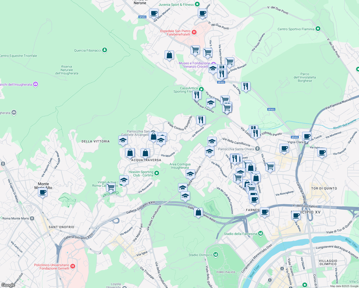map of restaurants, bars, coffee shops, grocery stores, and more near 95 Via Misurina in Roma