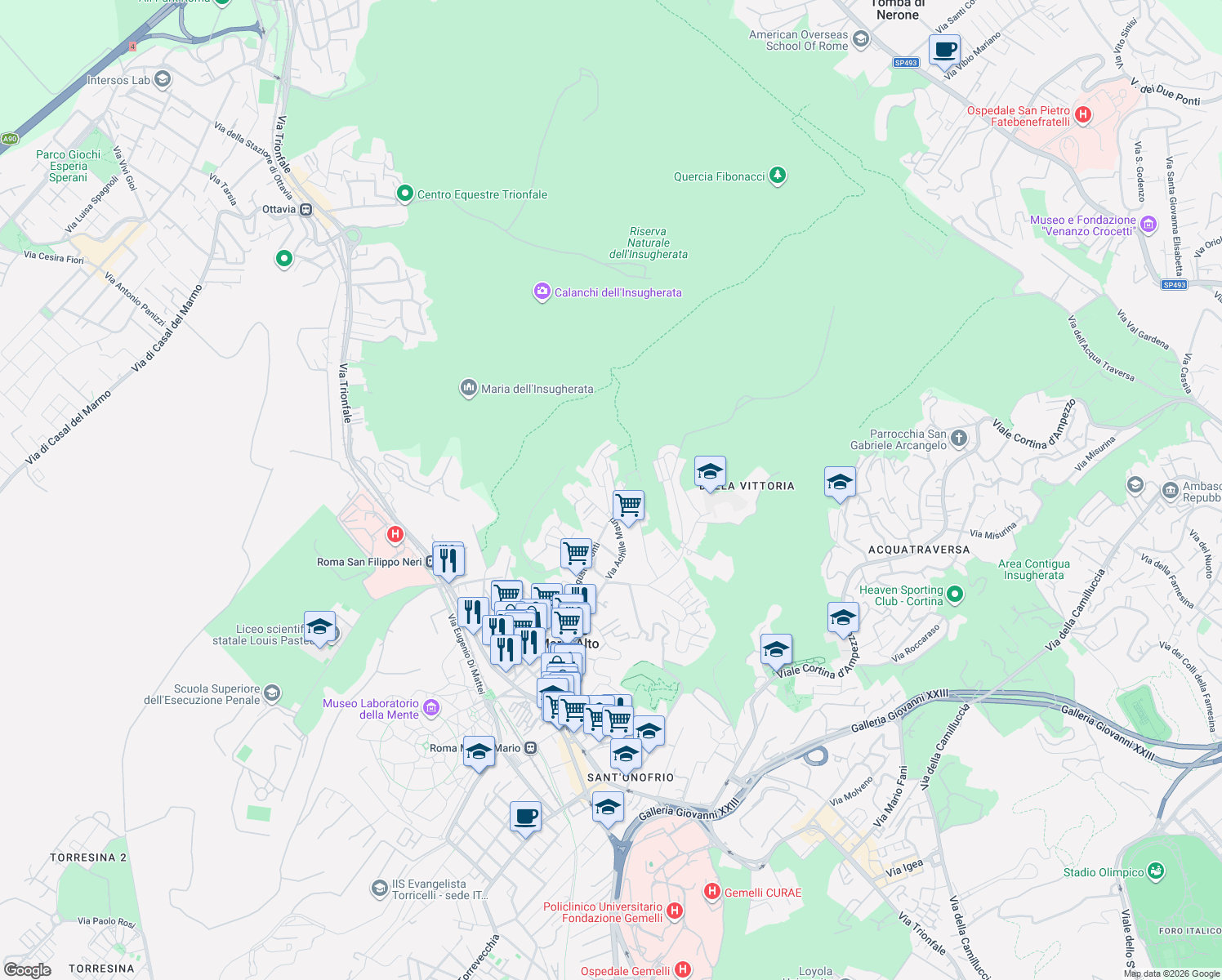 map of restaurants, bars, coffee shops, grocery stores, and more near 8 Via Domenico Berti in Roma