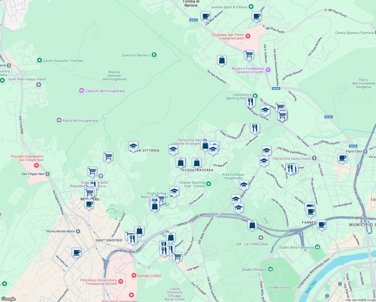 map of restaurants, bars, coffee shops, grocery stores, and more near 40 Via Calalzo in Roma