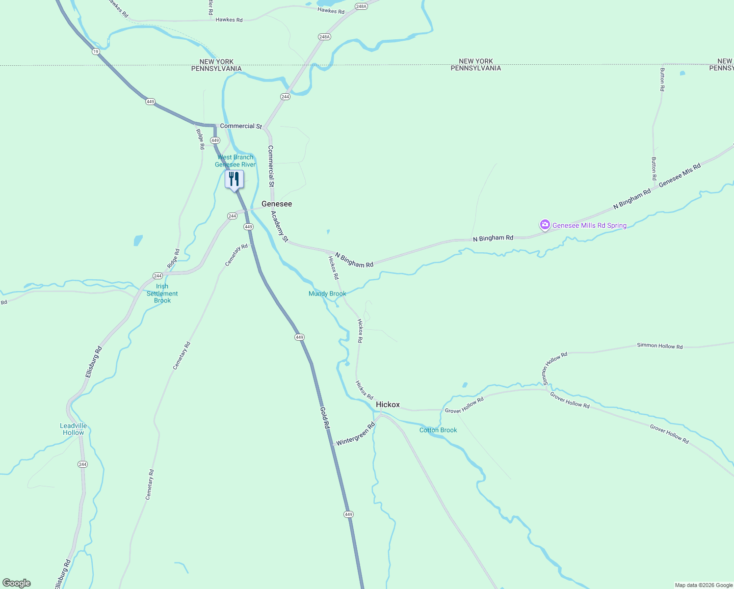 map of restaurants, bars, coffee shops, grocery stores, and more near 160 North Bingham Road in Genesee
