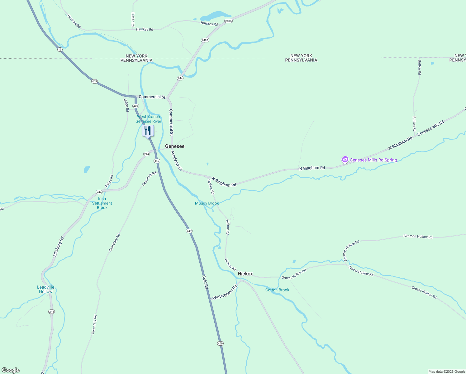 map of restaurants, bars, coffee shops, grocery stores, and more near 160 North Bingham Road in Genesee