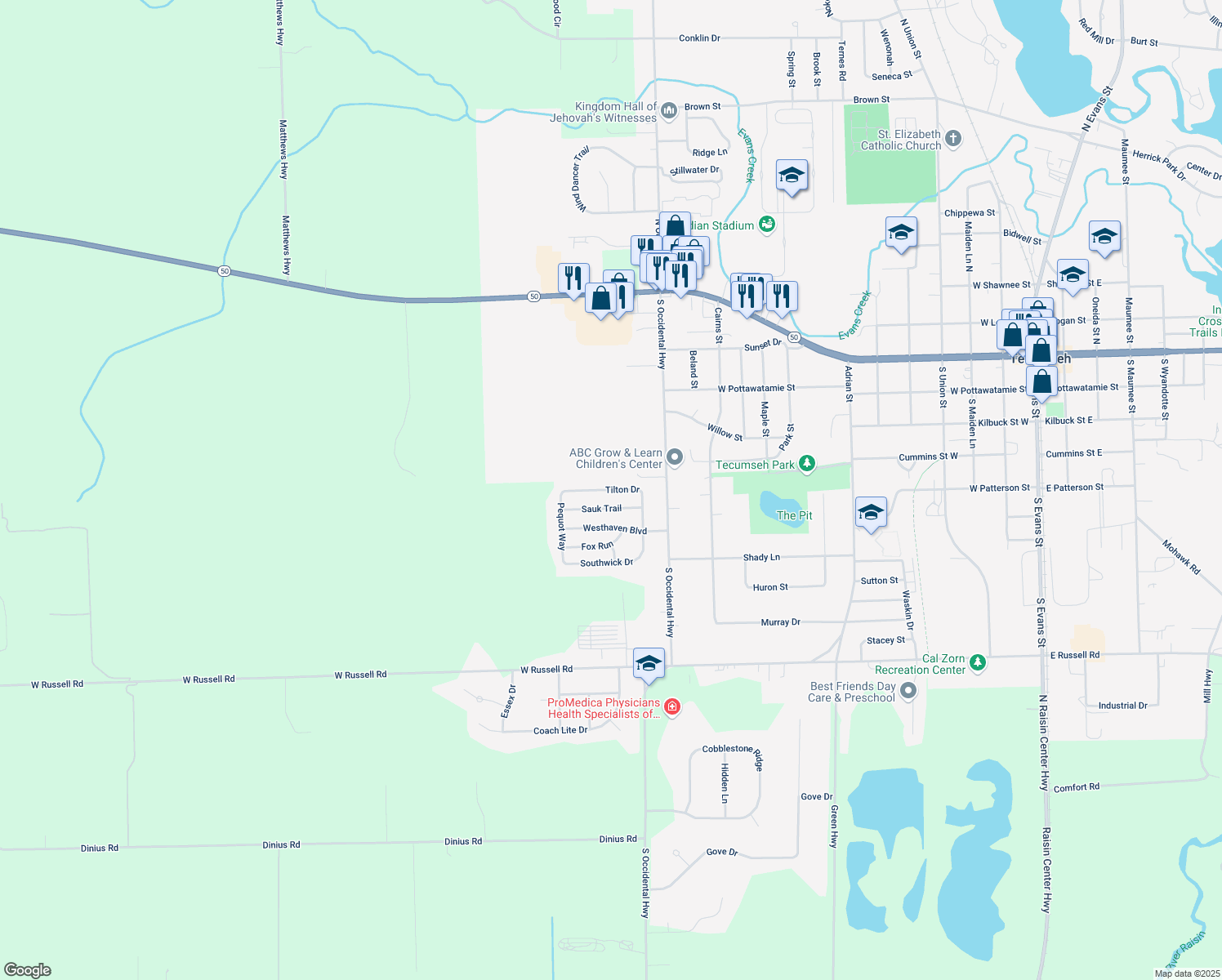 map of restaurants, bars, coffee shops, grocery stores, and more near 494 Tilton Drive in Tecumseh