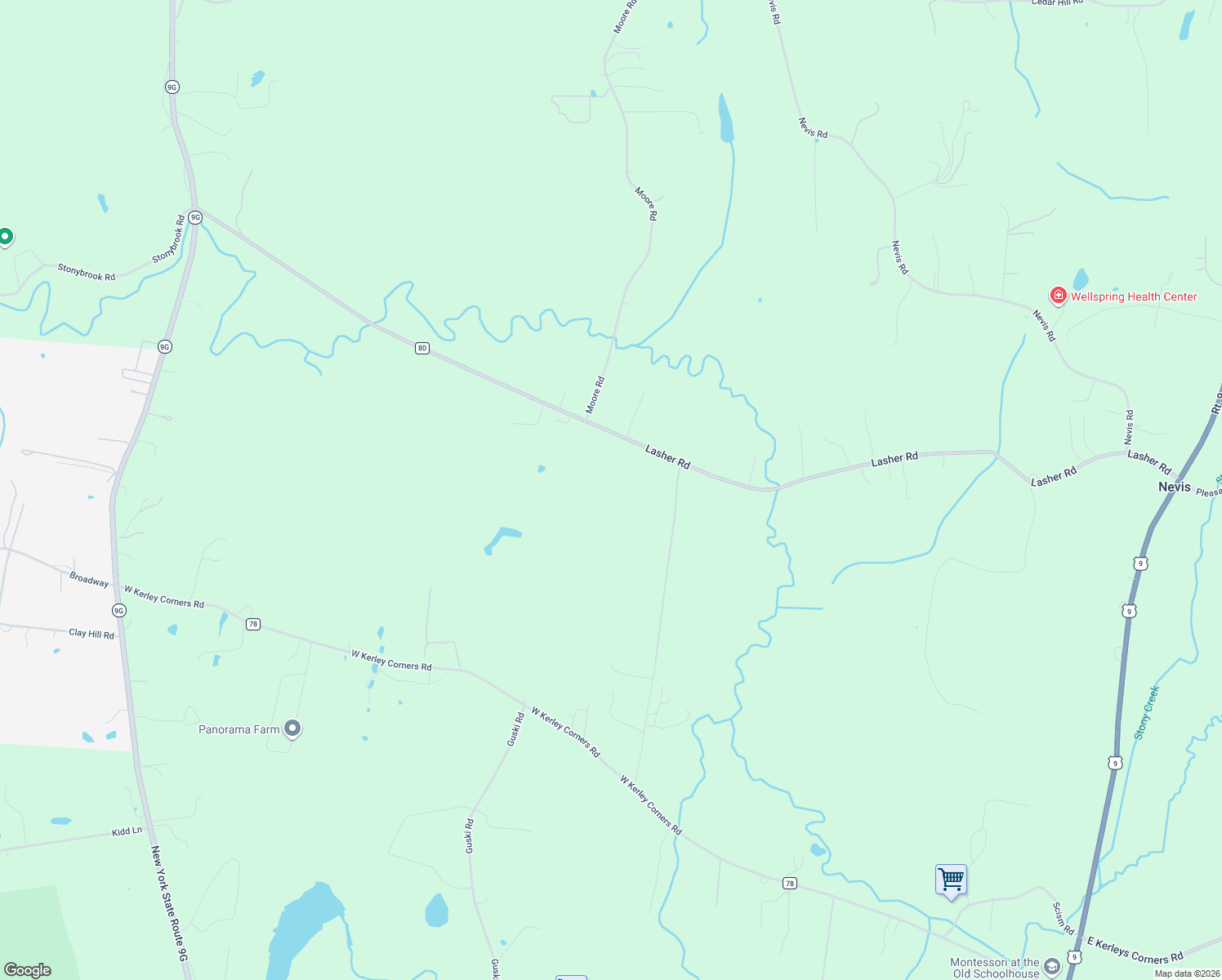 map of restaurants, bars, coffee shops, grocery stores, and more near 258 Lasher Road in Tivoli