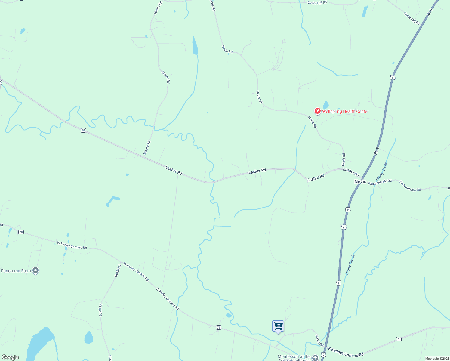 map of restaurants, bars, coffee shops, grocery stores, and more near 388 Lasher Road in Tivoli