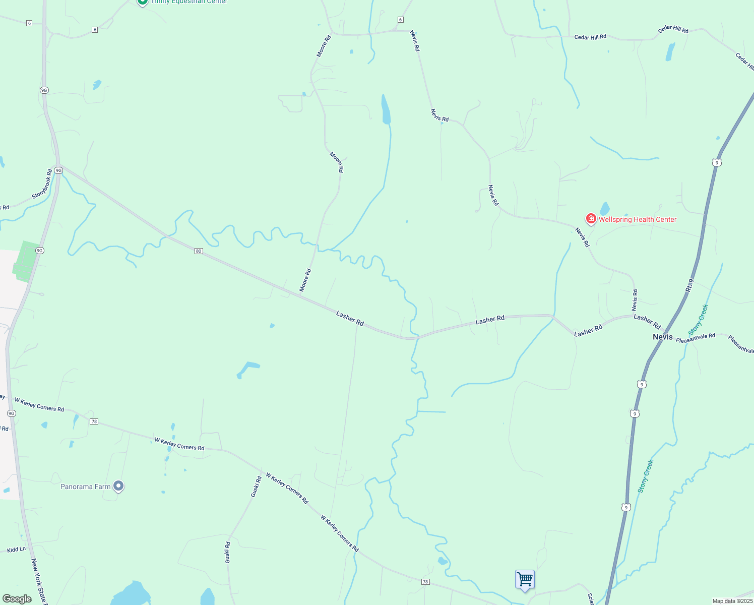 map of restaurants, bars, coffee shops, grocery stores, and more near 323 Lasher Rd in Tivoli