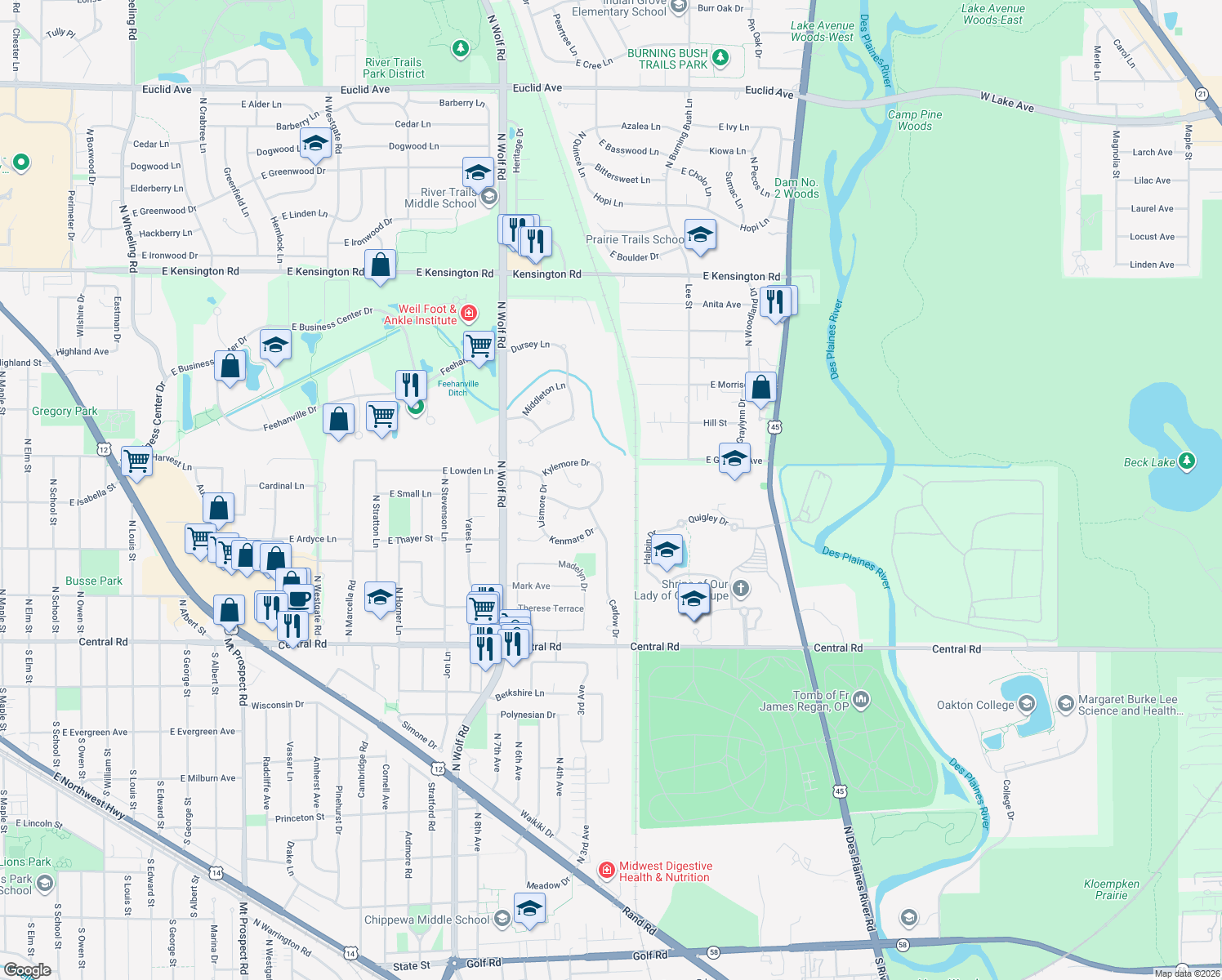 map of restaurants, bars, coffee shops, grocery stores, and more near 880 Kylemore Drive in Des Plaines