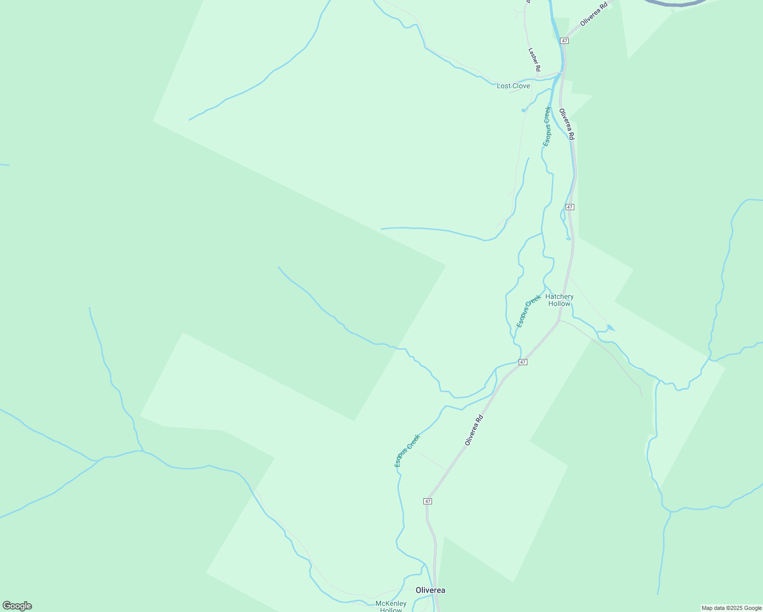 map of restaurants, bars, coffee shops, grocery stores, and more near in Oliverea