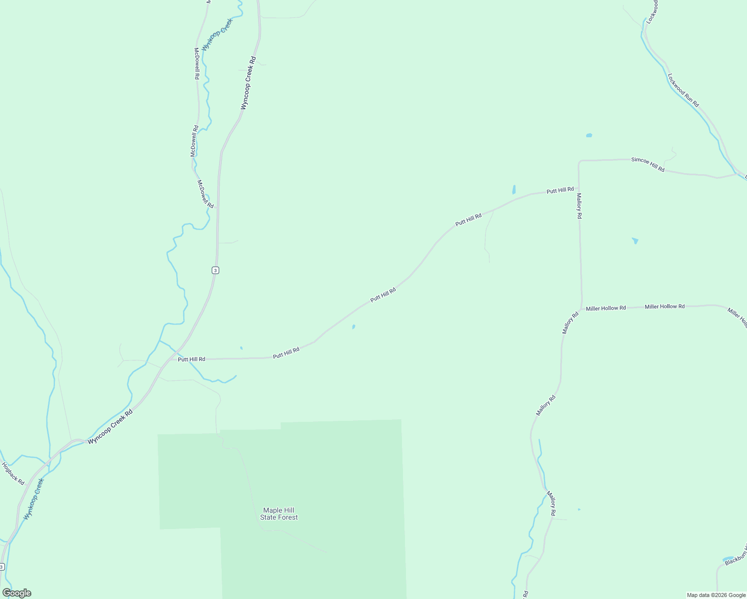 map of restaurants, bars, coffee shops, grocery stores, and more near 169 Putt Hill Road in Chemung