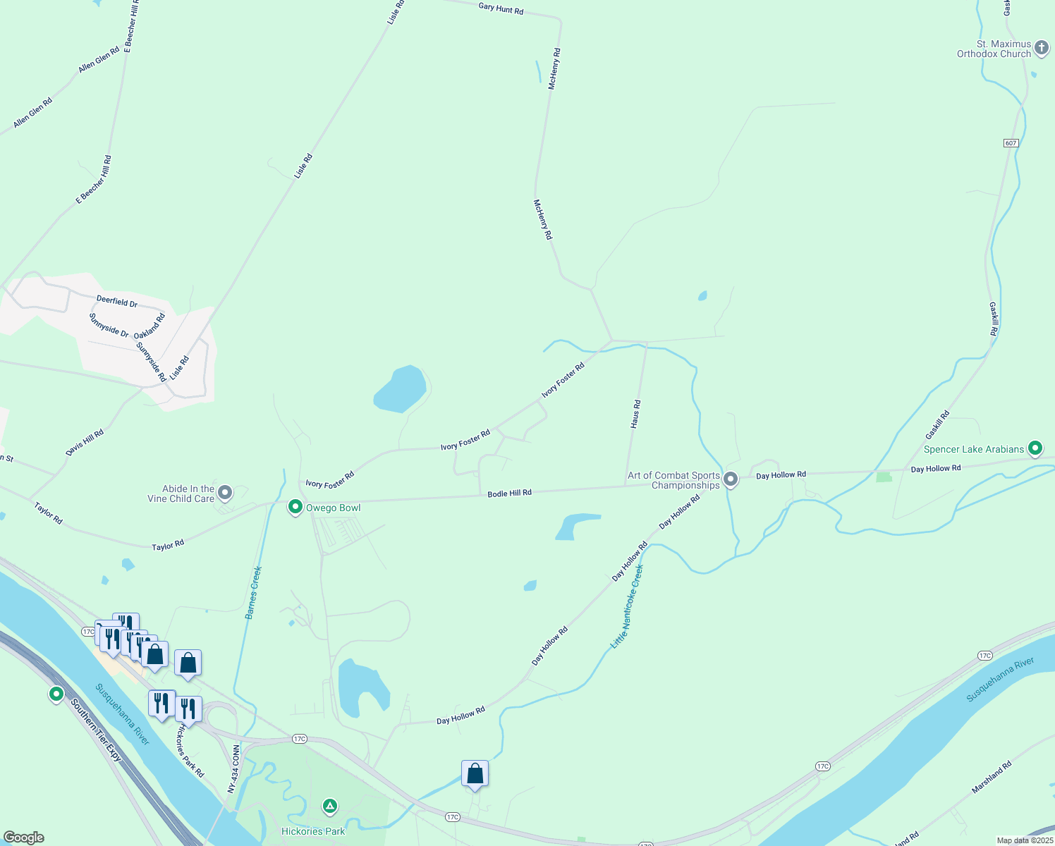 map of restaurants, bars, coffee shops, grocery stores, and more near 5 Queenswood Dr in Owego