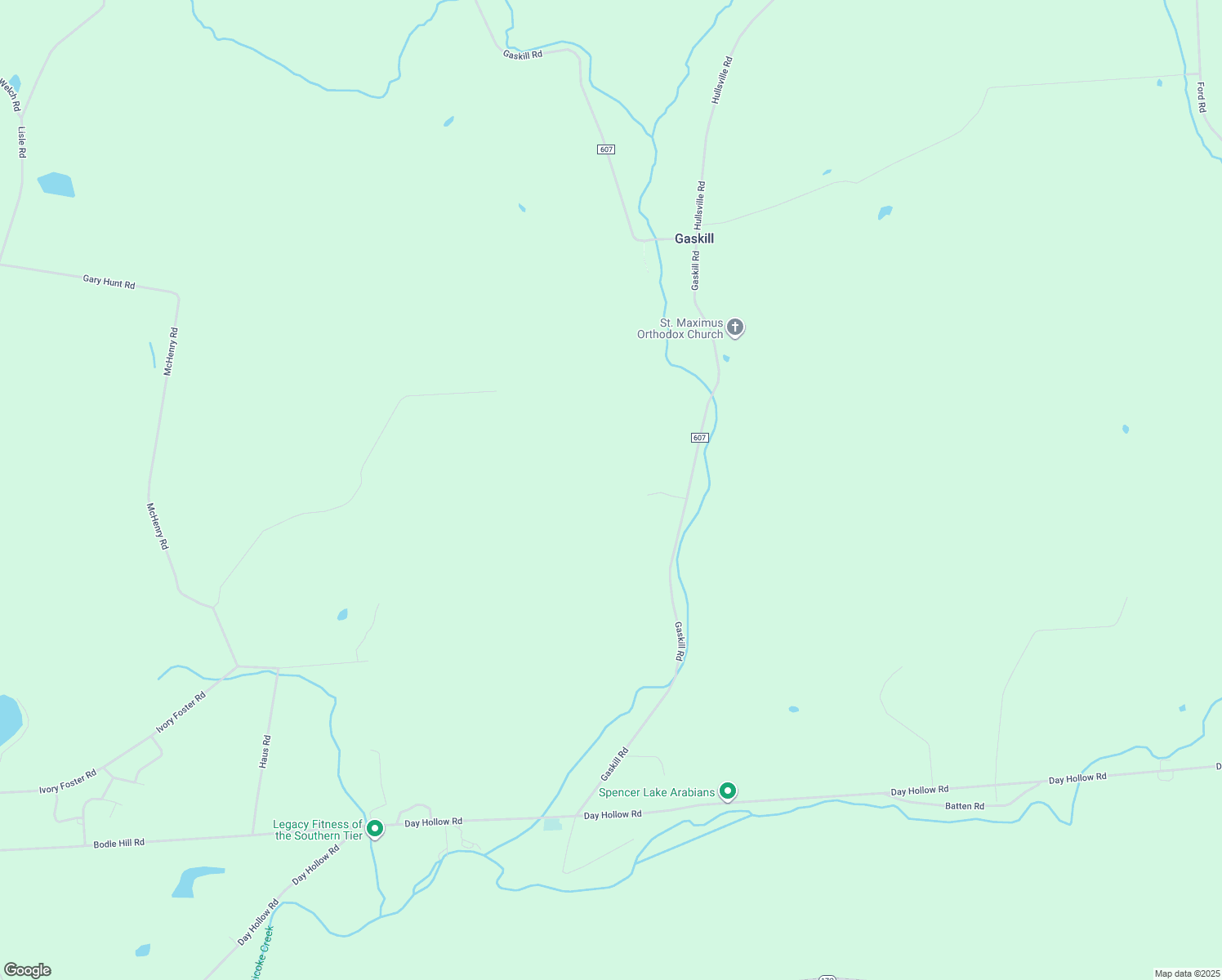 map of restaurants, bars, coffee shops, grocery stores, and more near 4890 Gaskill Road in Owego