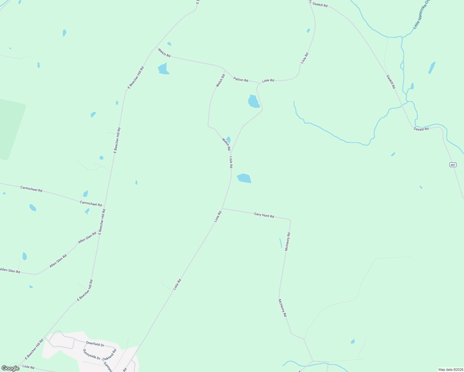 map of restaurants, bars, coffee shops, grocery stores, and more near 2238 Lisle Rd in Owego