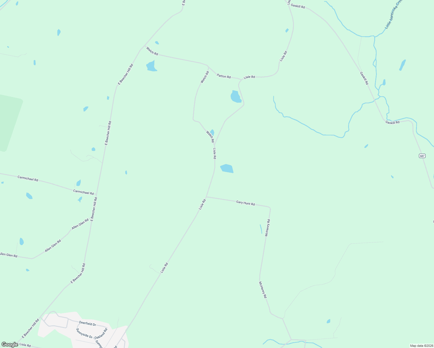 map of restaurants, bars, coffee shops, grocery stores, and more near 2238 Lisle Rd in Owego