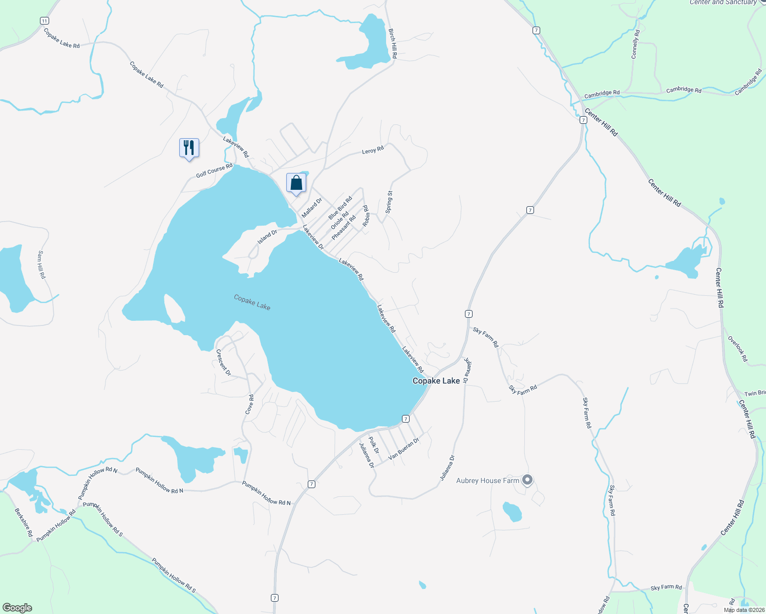 map of restaurants, bars, coffee shops, grocery stores, and more near 403 Lakeview Road in Craryville