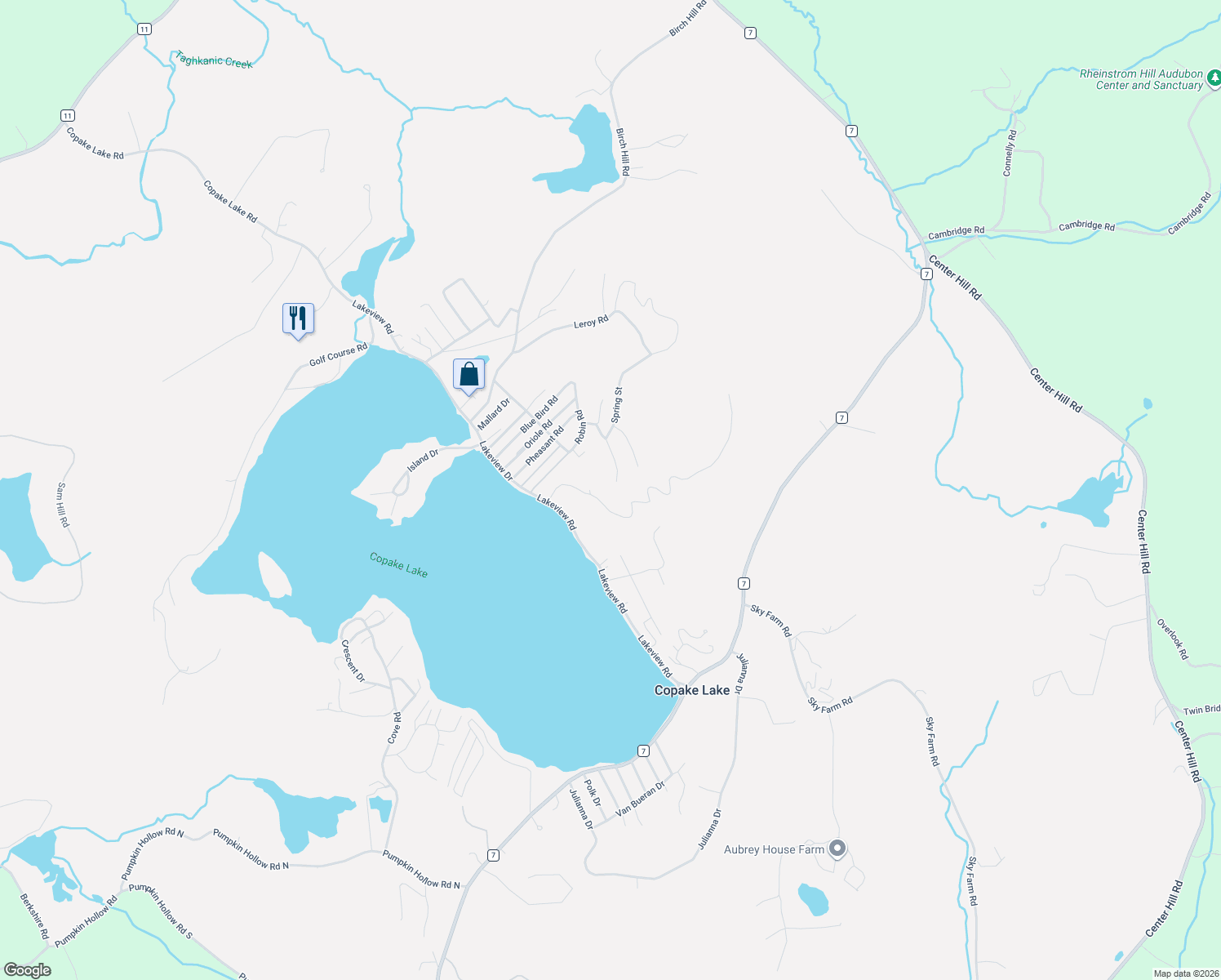 map of restaurants, bars, coffee shops, grocery stores, and more near 105 Hillside Drive in Hillsdale