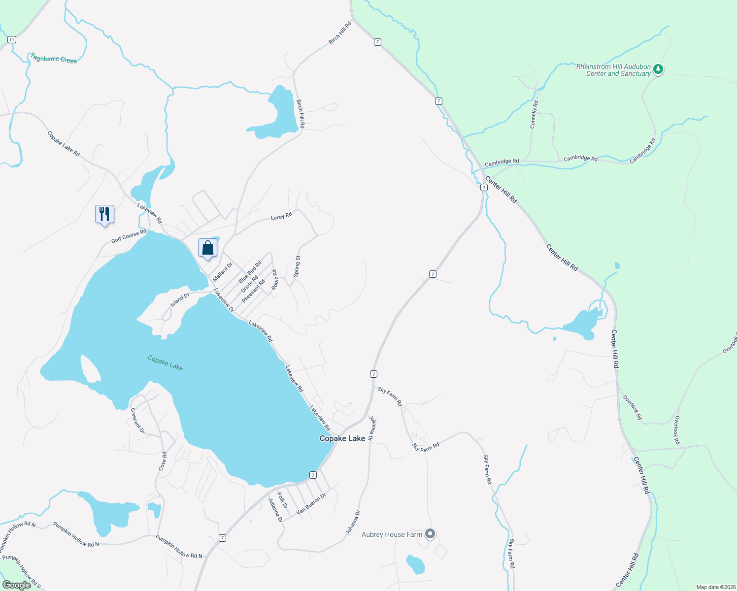 map of restaurants, bars, coffee shops, grocery stores, and more near 156 Lake Ridge Lane in Copake Lake