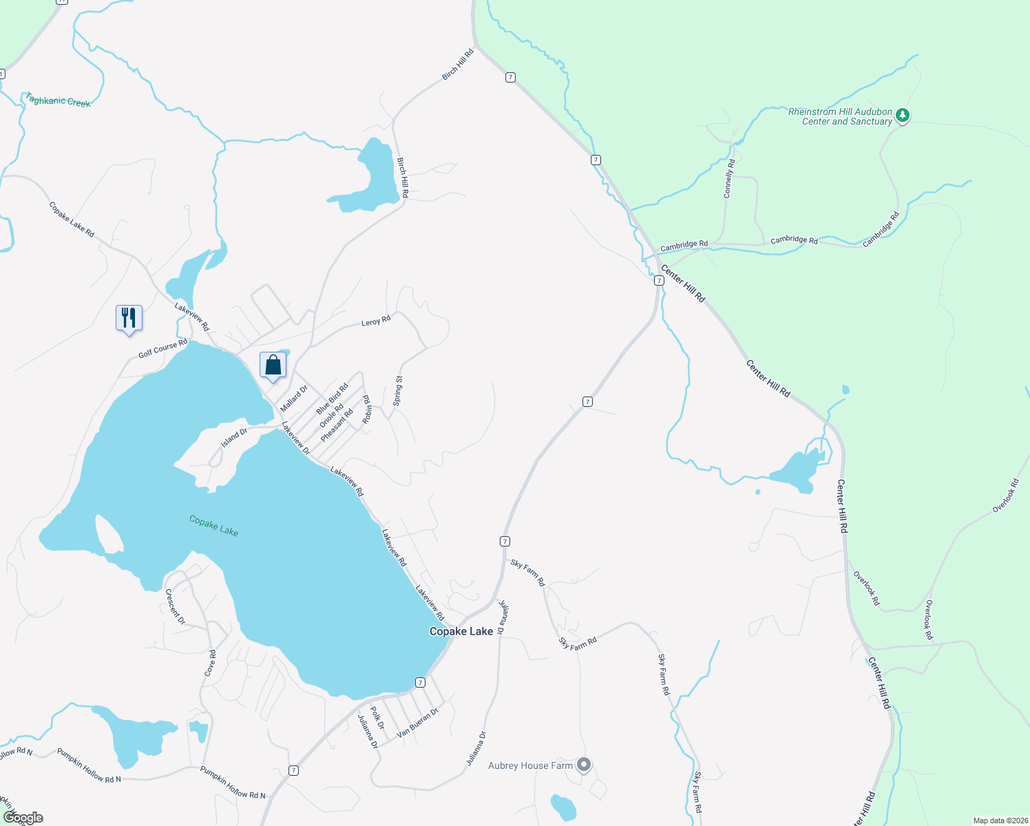 map of restaurants, bars, coffee shops, grocery stores, and more near 156 Lake Ridge Lane in Copake Lake