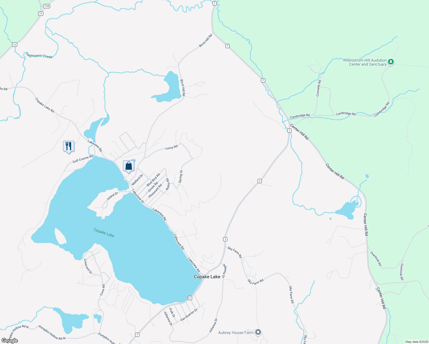 map of restaurants, bars, coffee shops, grocery stores, and more near in Copake Lake