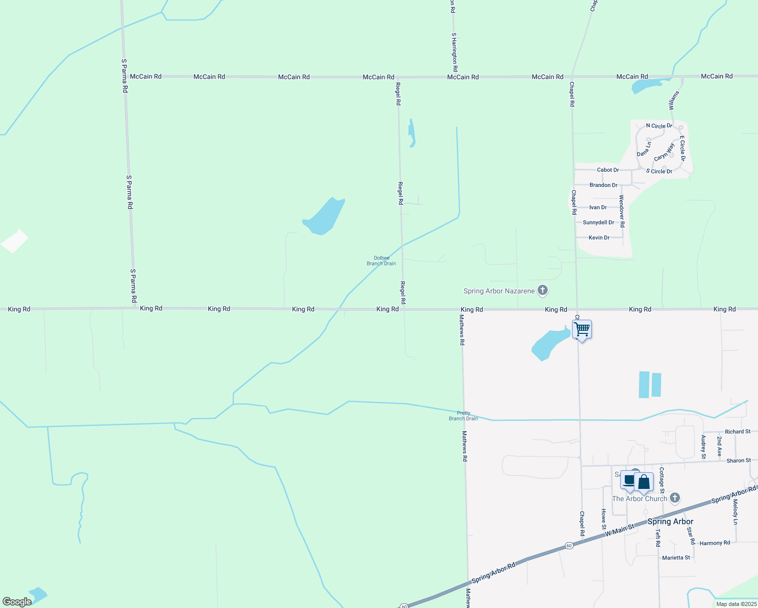 map of restaurants, bars, coffee shops, grocery stores, and more near 8868 King Road in Spring Arbor