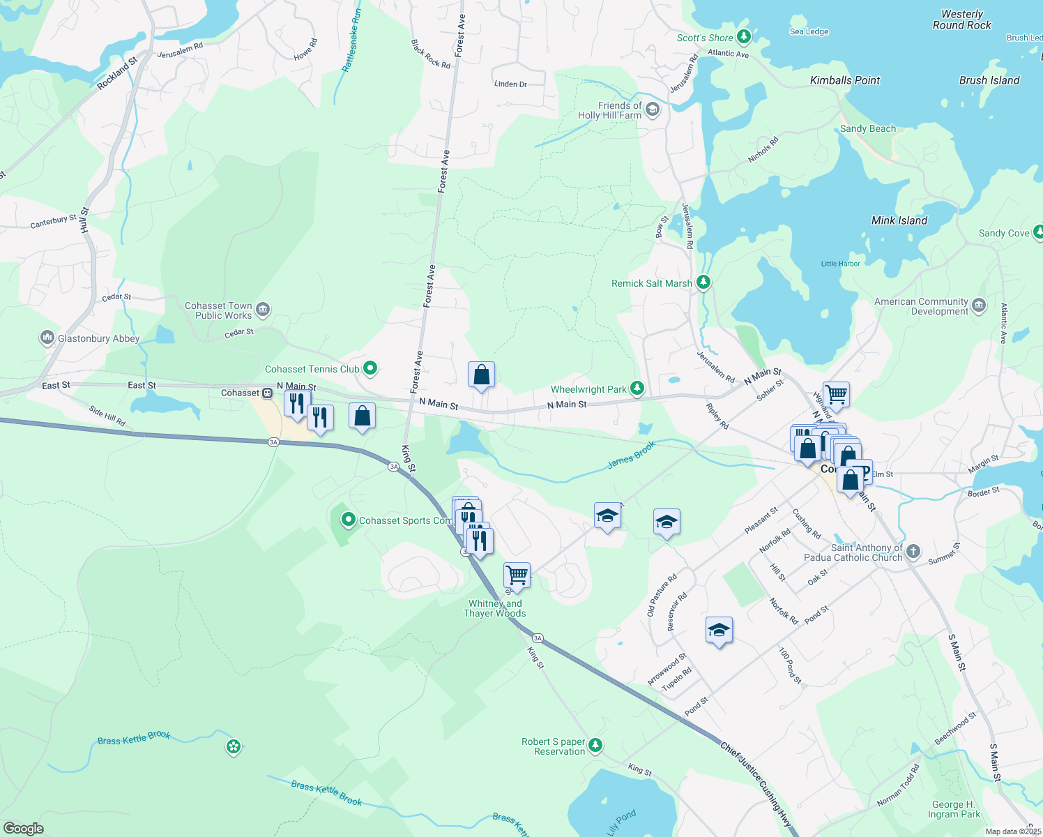 291 North Main Street, Cohasset MA Walk Score