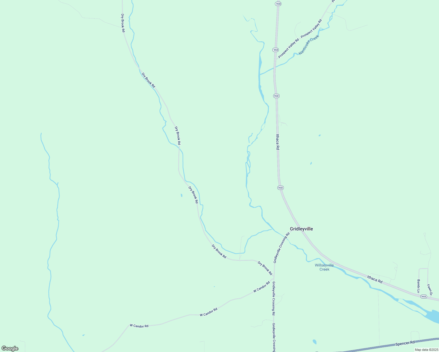 map of restaurants, bars, coffee shops, grocery stores, and more near 201 Dry Brook Road in Willseyville