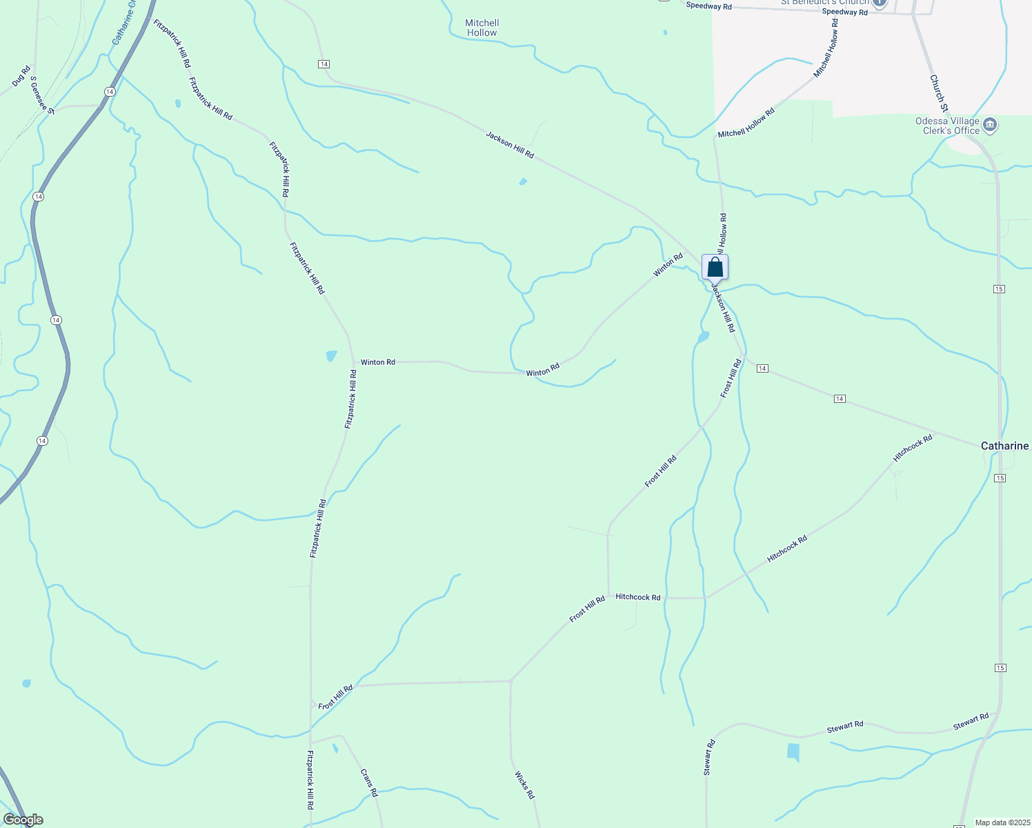 map of restaurants, bars, coffee shops, grocery stores, and more near 4454 Winton Road in Montour Falls