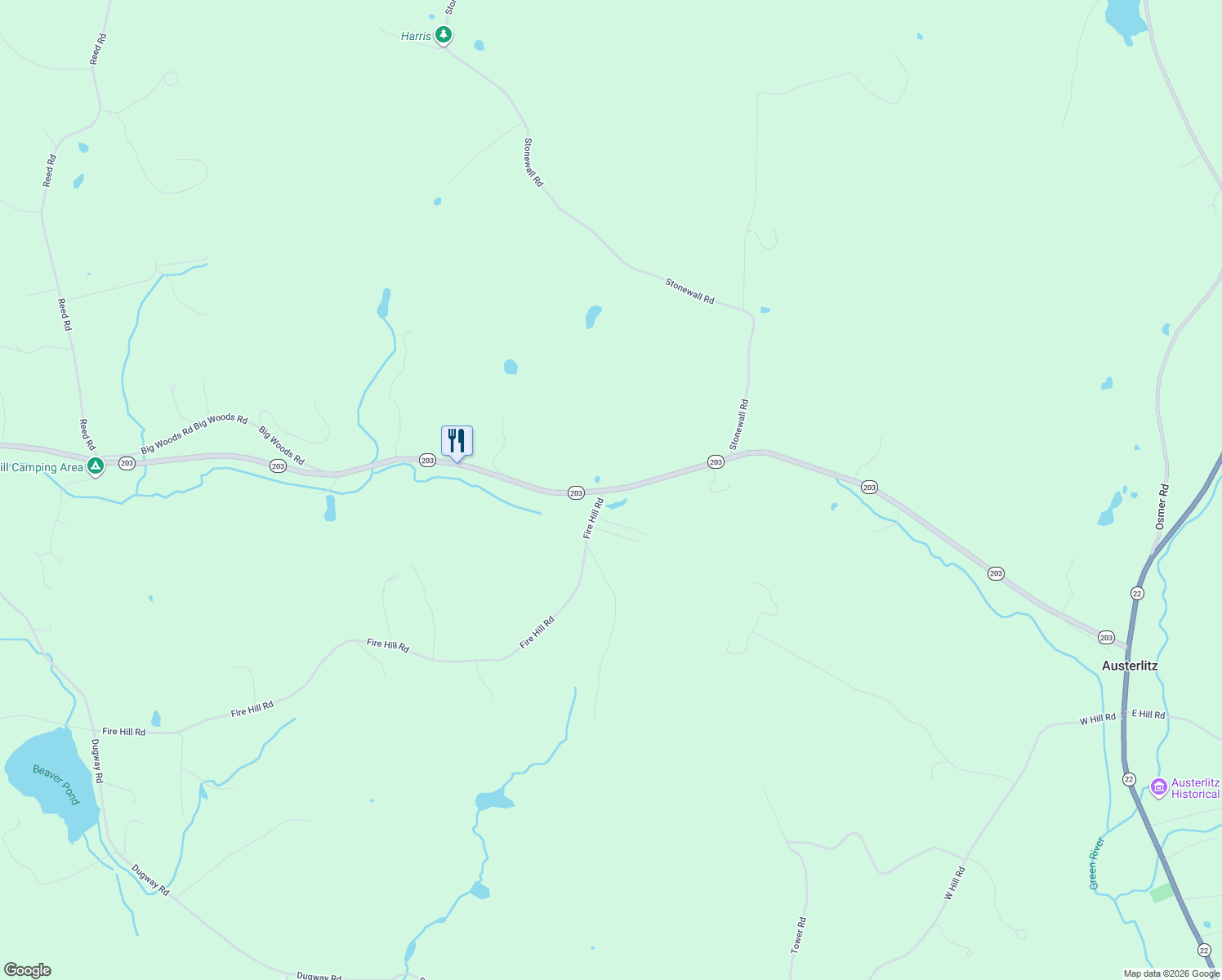 map of restaurants, bars, coffee shops, grocery stores, and more near 47 Highway 203 in Spencertown