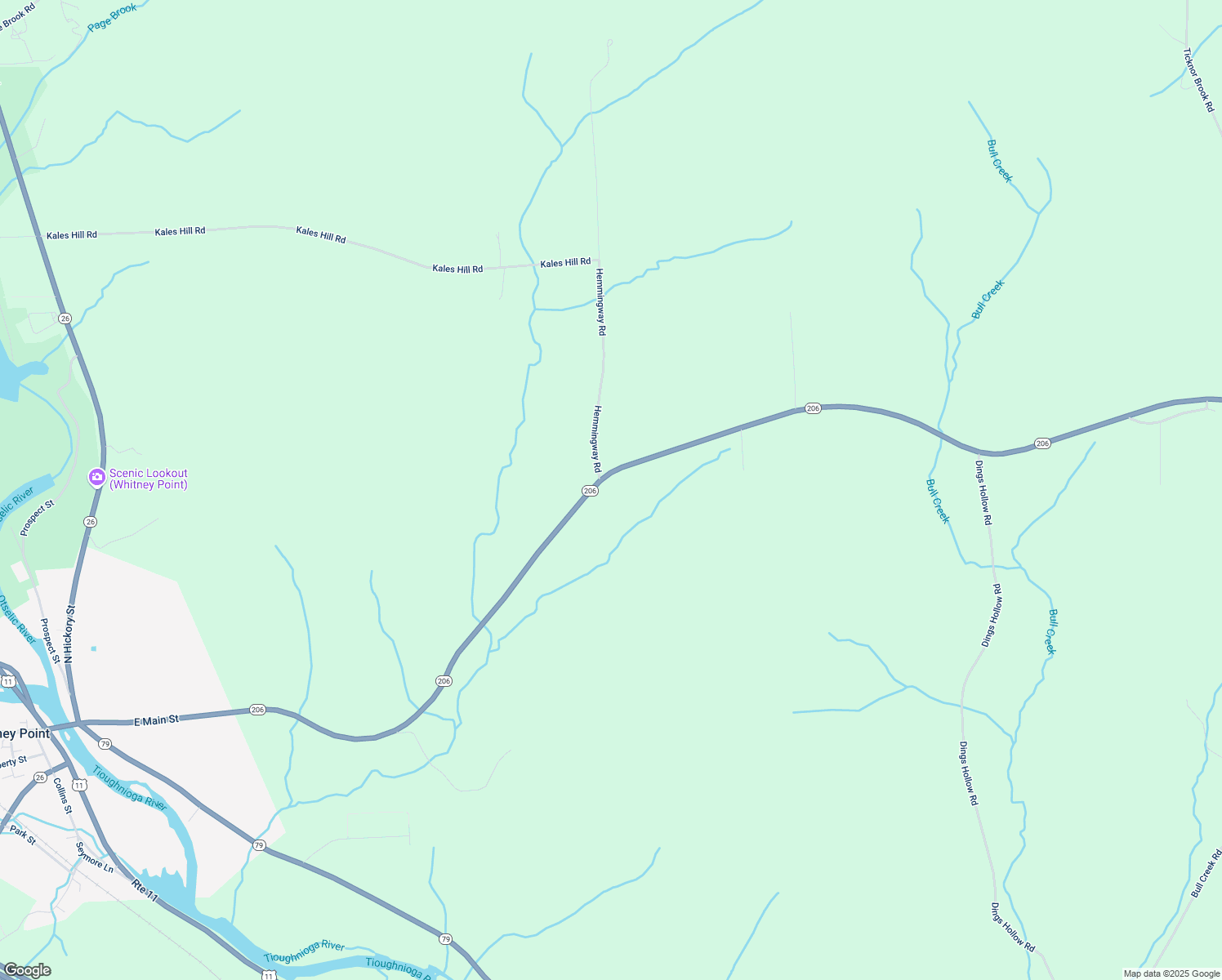 map of restaurants, bars, coffee shops, grocery stores, and more near 3068 Highway 206 in Whitney Point