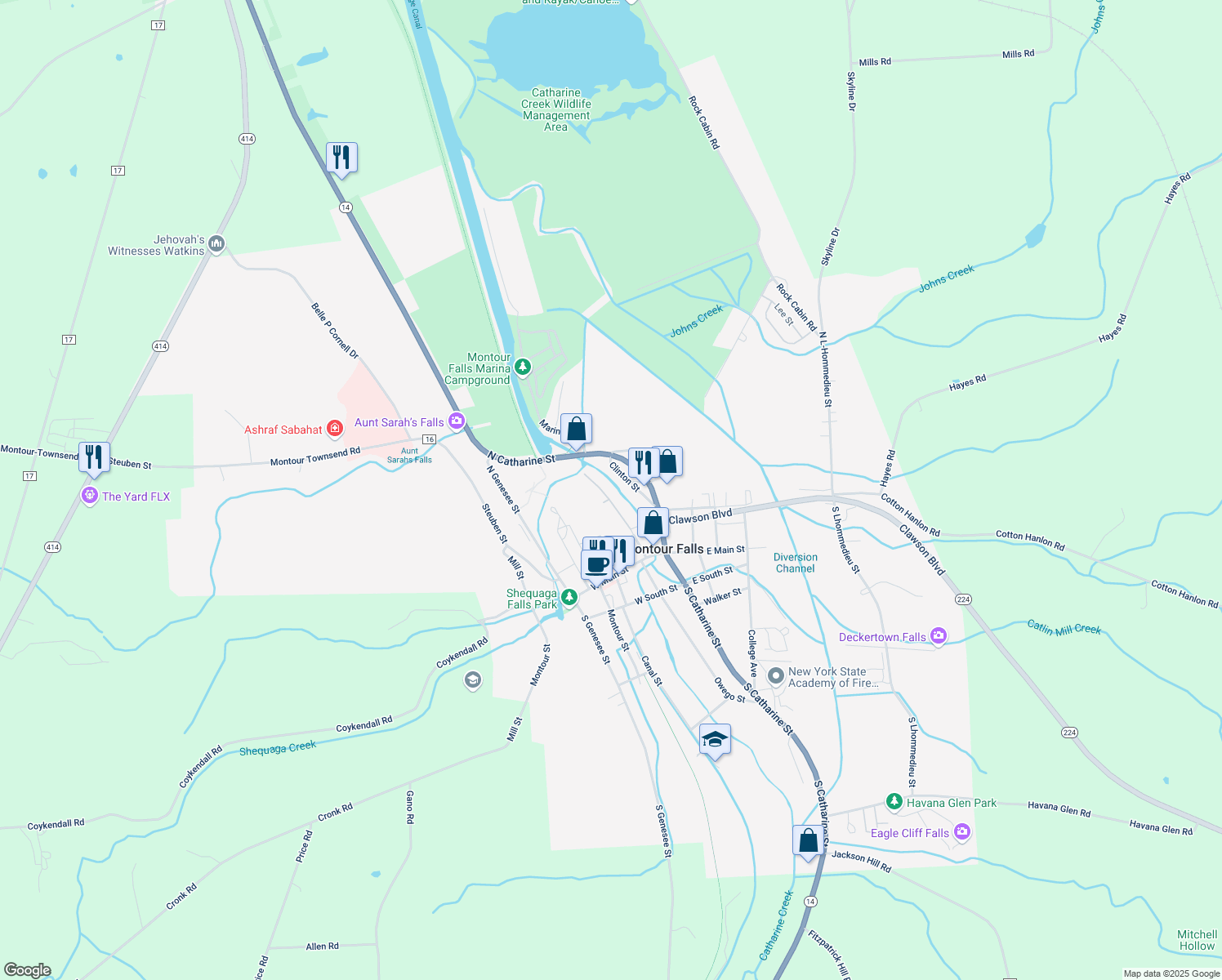 map of restaurants, bars, coffee shops, grocery stores, and more near 236 Henry Street in Montour Falls