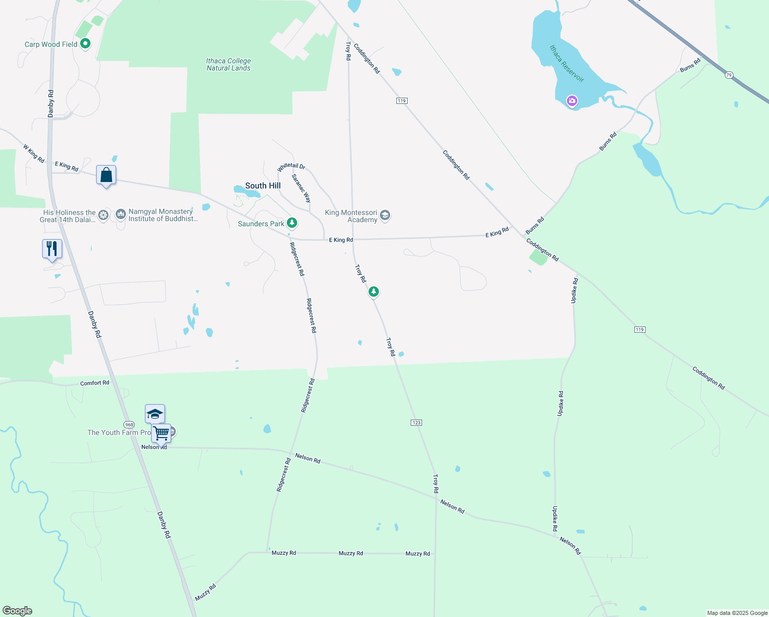 map of restaurants, bars, coffee shops, grocery stores, and more near 241 Troy Rd in Ithaca