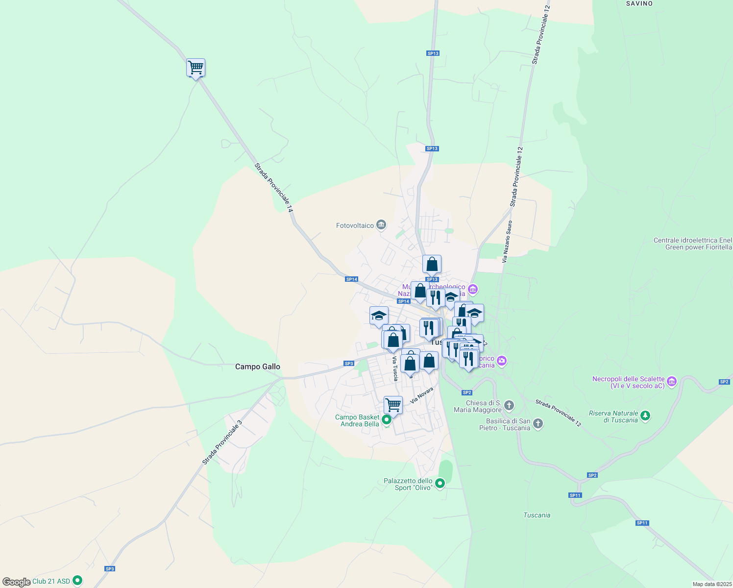 map of restaurants, bars, coffee shops, grocery stores, and more near 71 Piazza Raffaele Eusepi in Tuscania