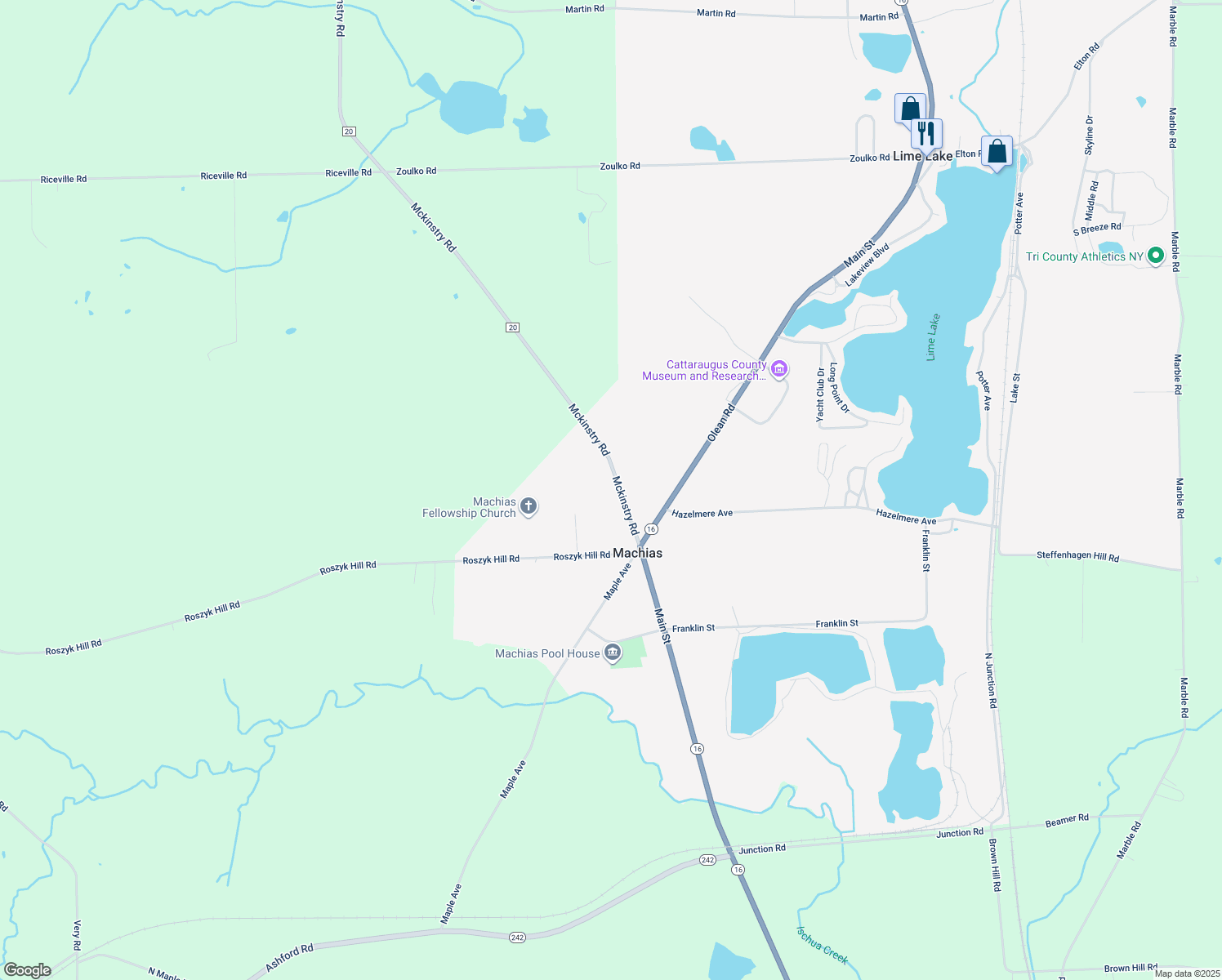 9749 Mckinstry Road, Machias NY Walk Score