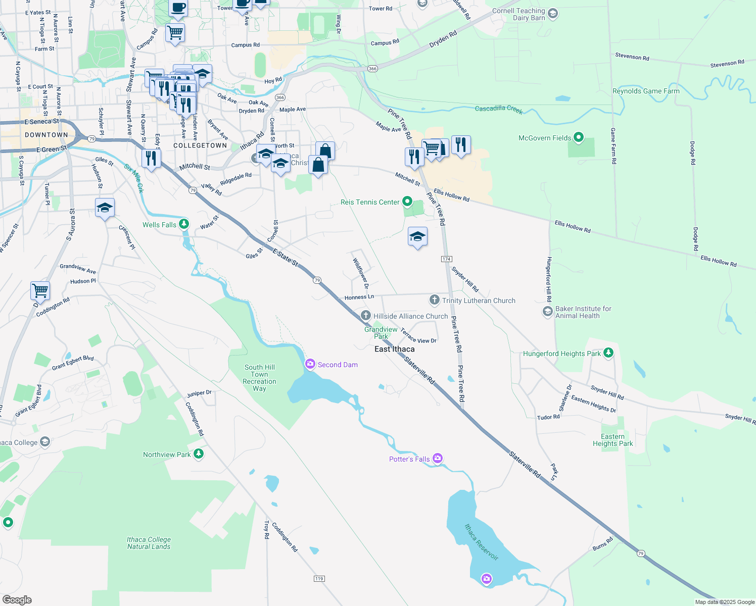 map of restaurants, bars, coffee shops, grocery stores, and more near 99 Terrace View Dr in Ithaca