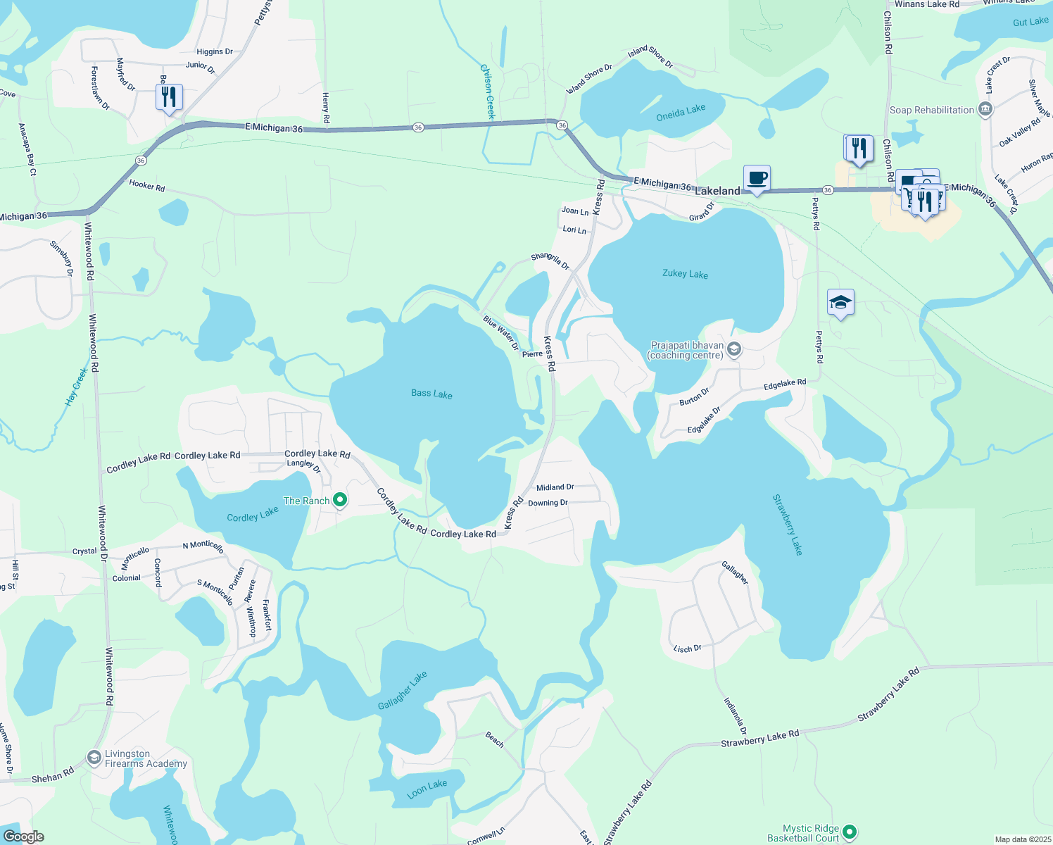 map of restaurants, bars, coffee shops, grocery stores, and more near 10156 Kress Road in Pinckney