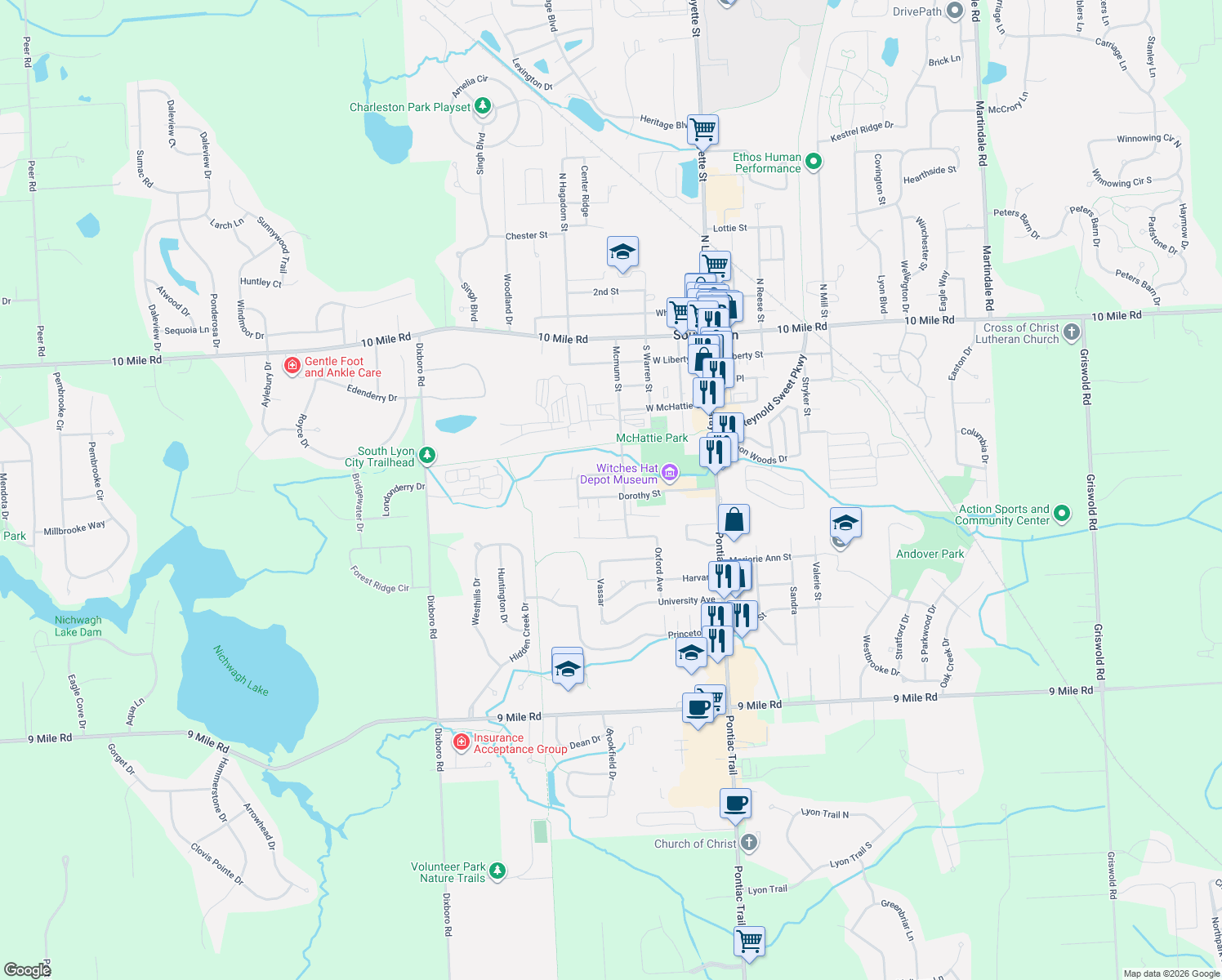 map of restaurants, bars, coffee shops, grocery stores, and more near 412 Dorothy St in South Lyon